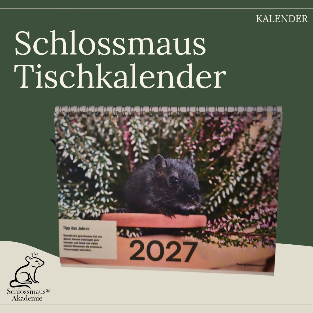 Schlossmaus Tischkalender 2027 – Ein Jahr voller Rennmausmomente