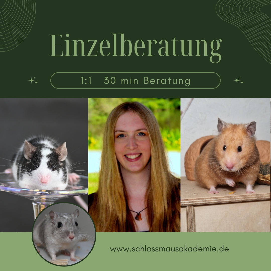1:1 Einzelberatung - 30 min