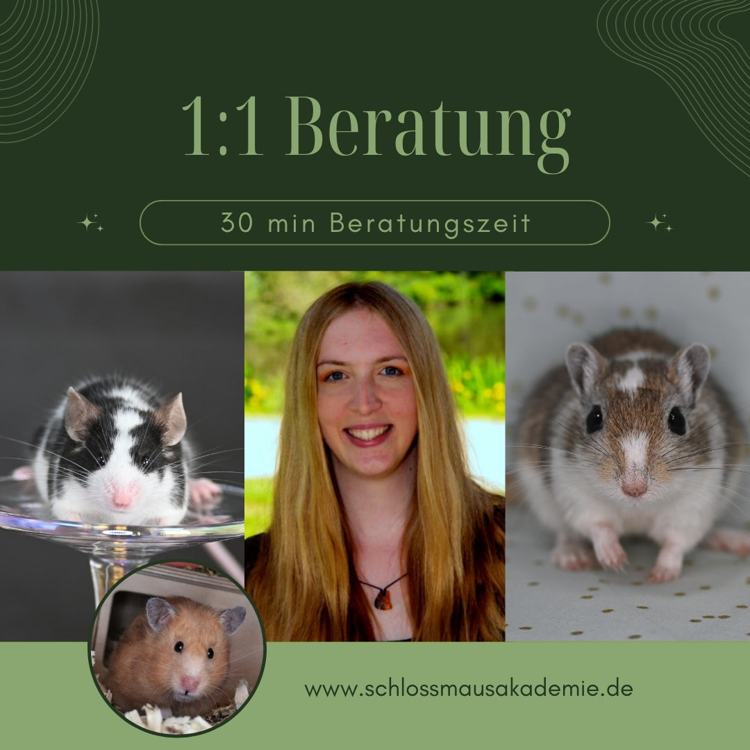 1:1 Einzelberatung - 30 min