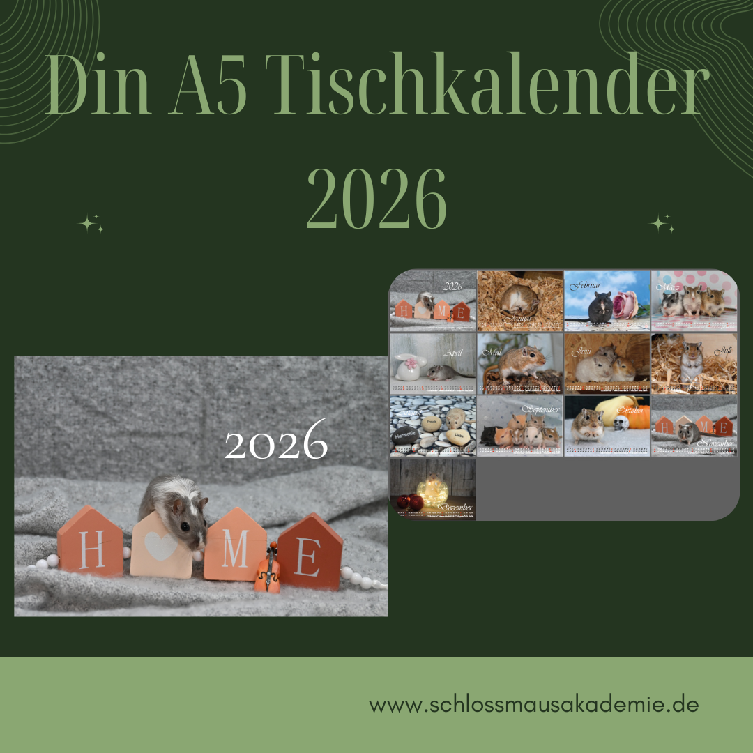 Schlossmaus Din5 Tischkalender 2026