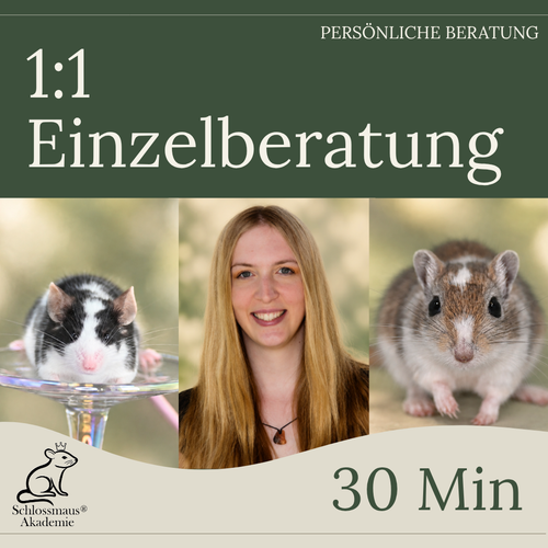 1:1 Einzelberatung - 30 min