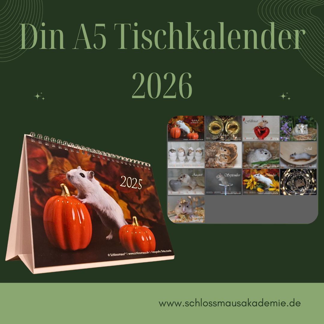 Schlossmaus Din5 Tischkalender 2025